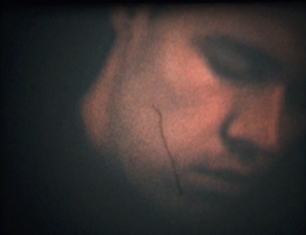 Thumbnail image of video artwork Toiminta,
    featuring a horse getting up from the ground